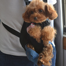 Outdoor Pet Bag