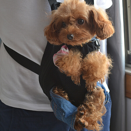 Outdoor Pet Bag, Other Bags, promotional gifts
