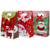 Paper Bag, Paper Gift Bag, promotional gifts