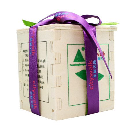Eco Mini Plants, Green Gifts, promotional gifts