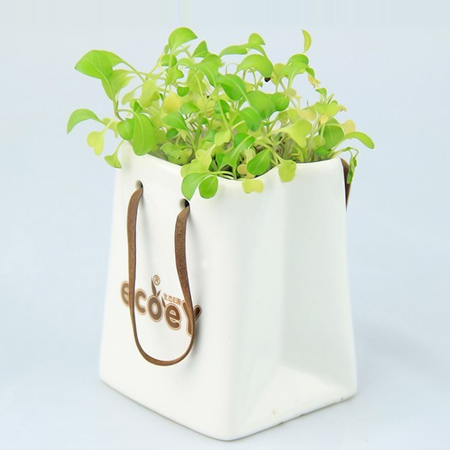 Environmental Planted Gift, Green Gifts, promotional gifts