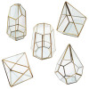 Geometric Glass Terrariums, Other Household Premiums, promotional gifts