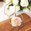 Geometric Glass Terrariums, Other Household Premiums, promotional gifts