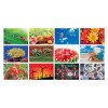 Table Calendar, Calendar, promotional gifts