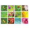 Table Calendar, Calendar, promotional gifts