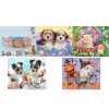 Wall Calendar, Calendar, promotional gifts