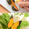 Animal Memo, Sticky Notes, promotional gifts