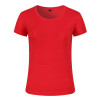 DIY Round Neck T-Shirt, T-Shirts, promotional gifts