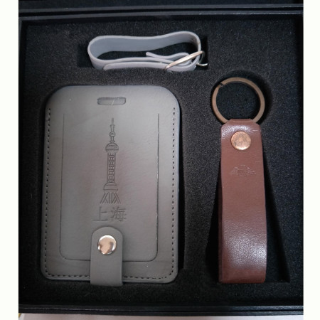 Custom Baggage Passport Set, Luggage Accessaries, promotional gifts
