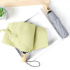 Folding Umbrella, Folding Umbrella, promotional gifts
